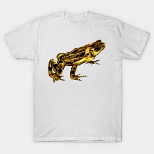 Golden frog colour illustration T-Shirt